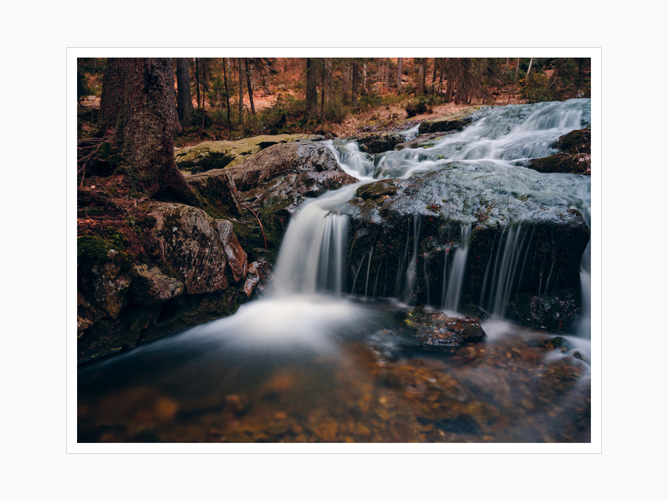 Max Schiefele Alle Bilder  DSF8929